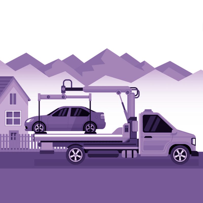 transport_vector_purple